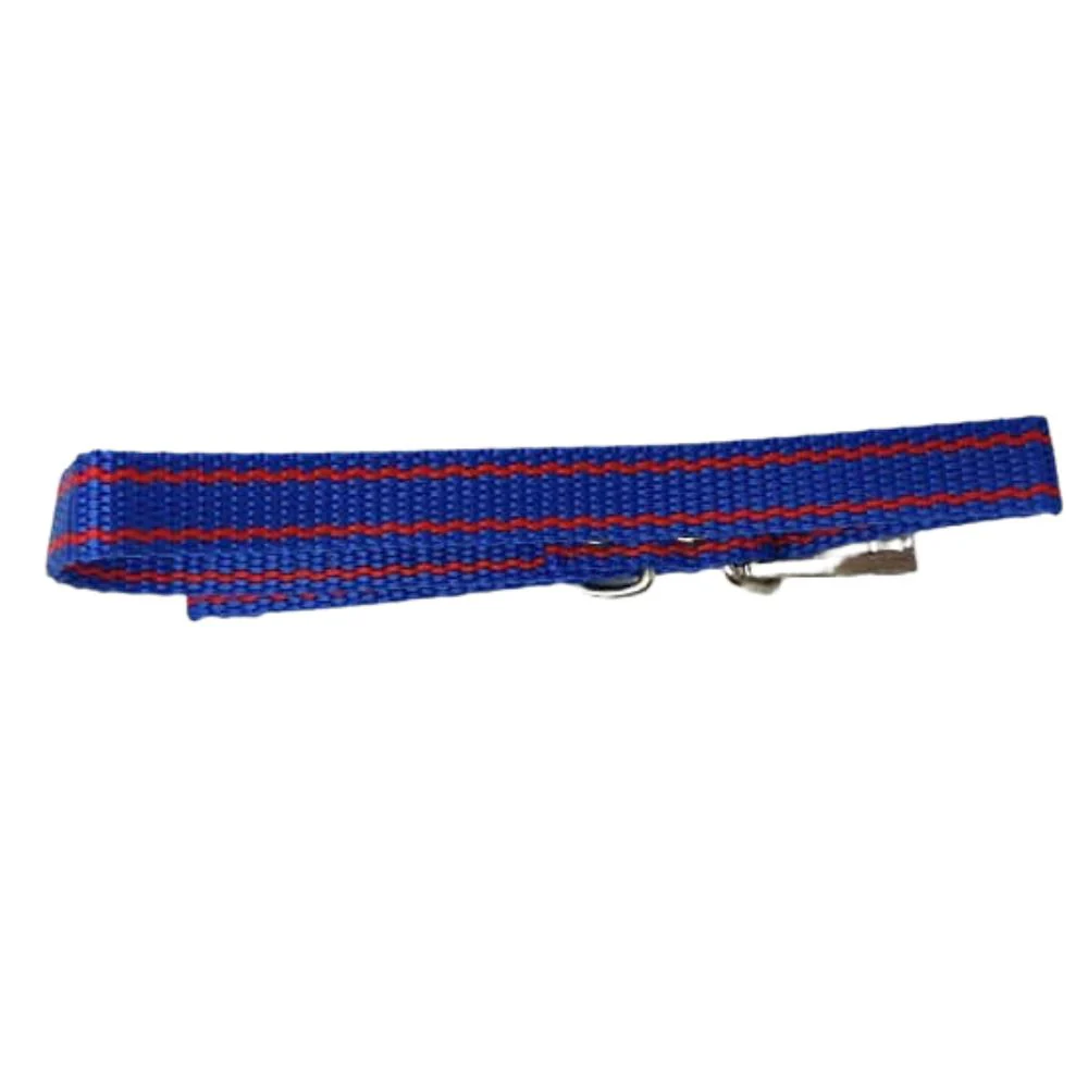 Collar para Perro 41cm - Image 2
