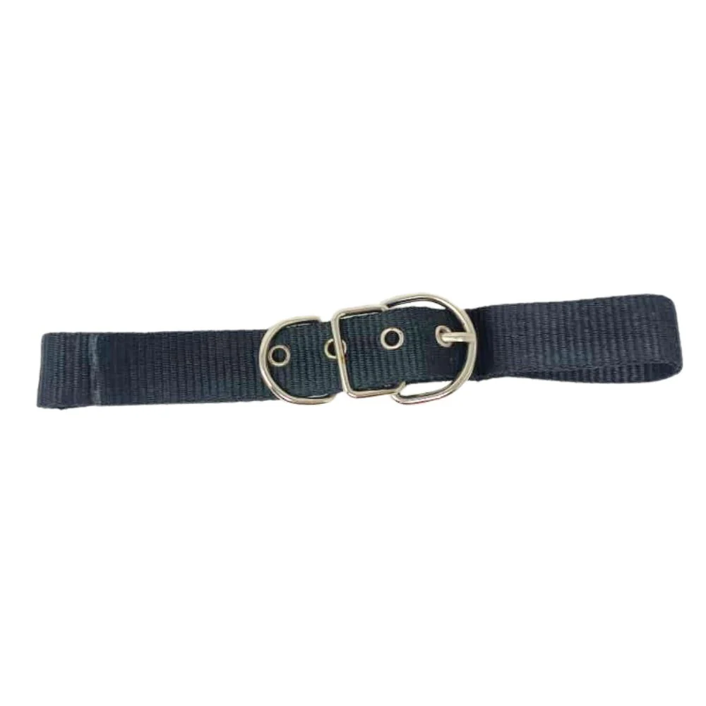 Collar para Perro 54cm