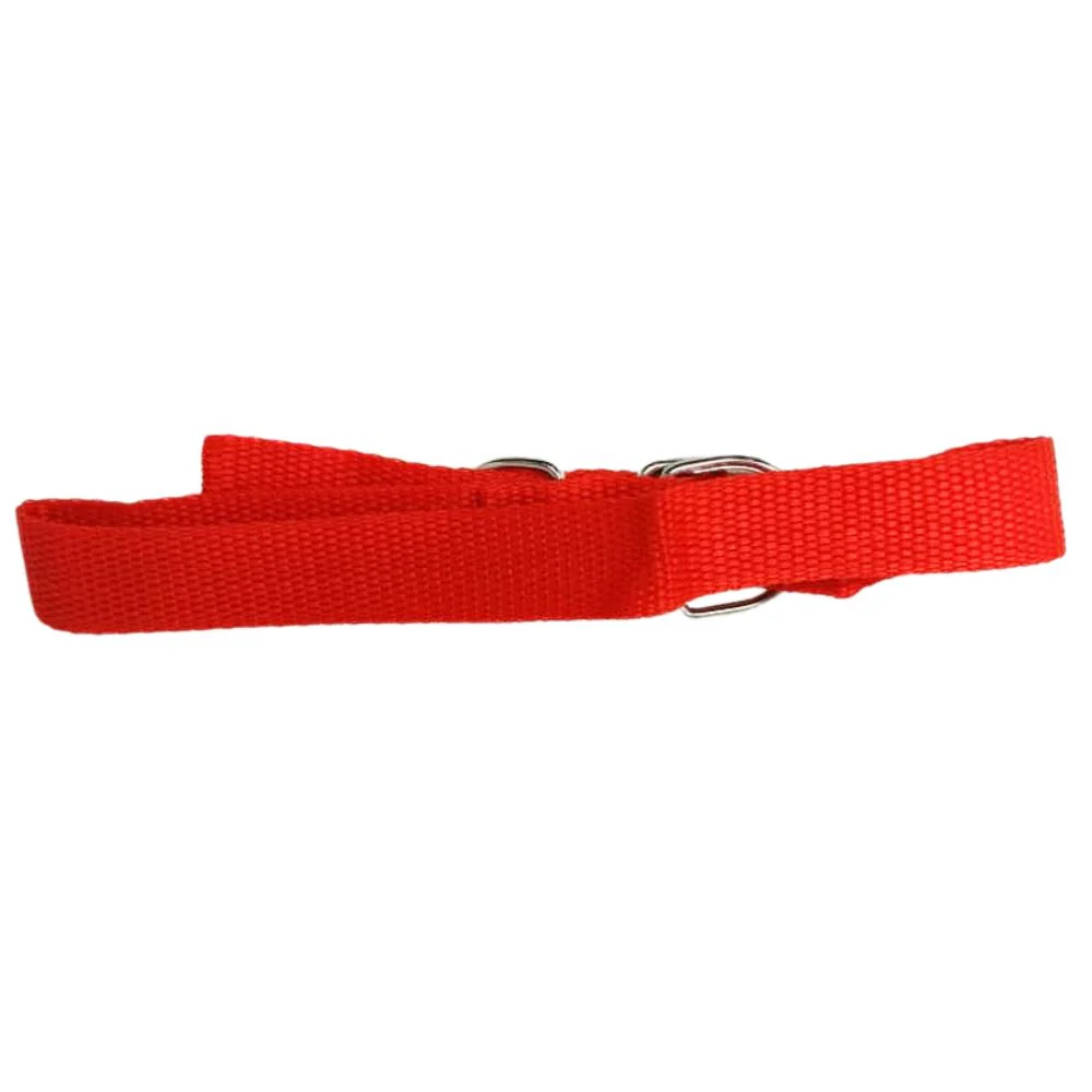 Collar para Perro 56cm - Image 2