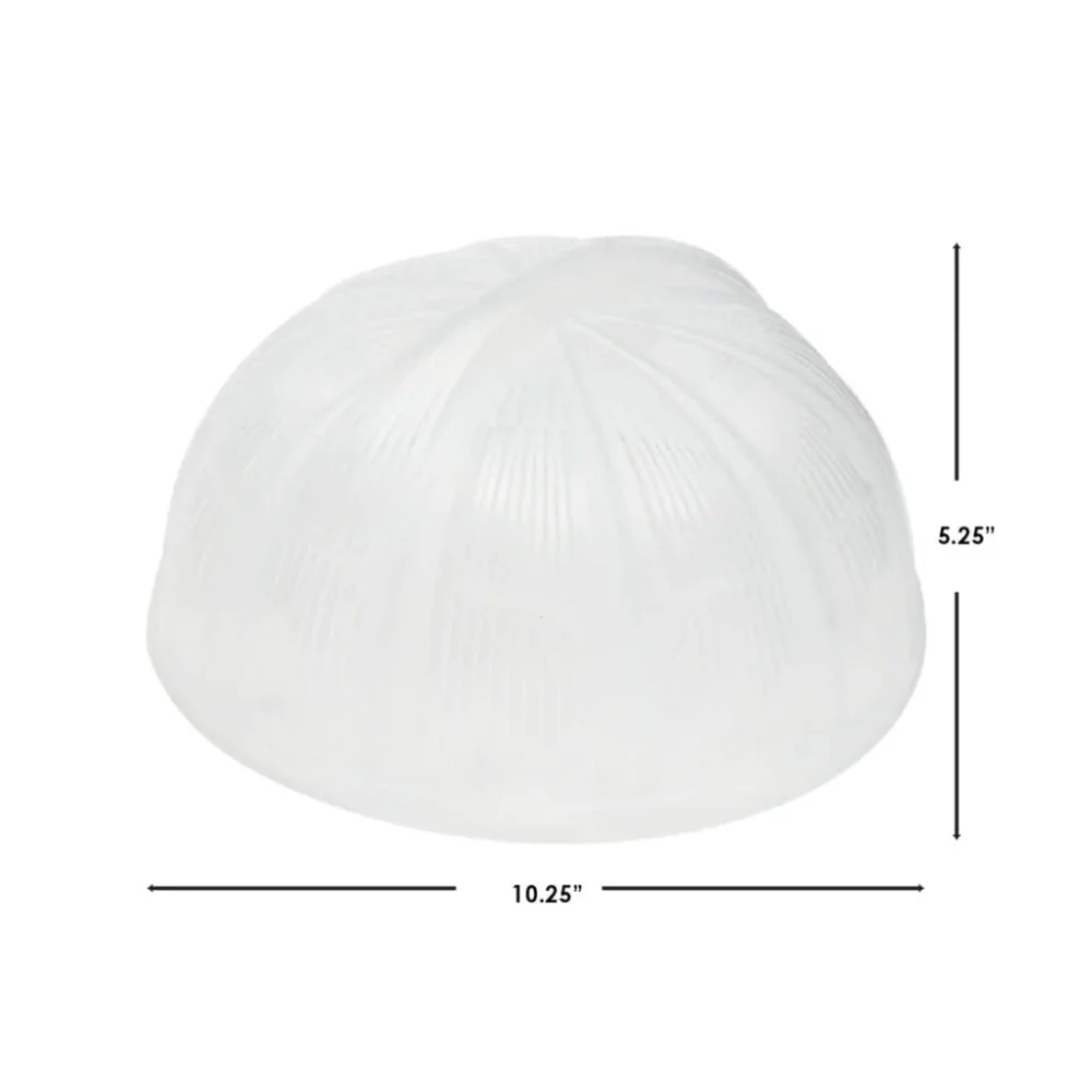 Tapa De Plastico Con Ventilación Para Plato De 25.4cm - Image 3