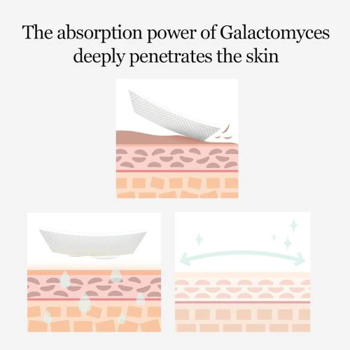 Mixsoon Galactomyces Toner Pad Pure Ingredient Oriented Skincare Brand 210ml - Image 2