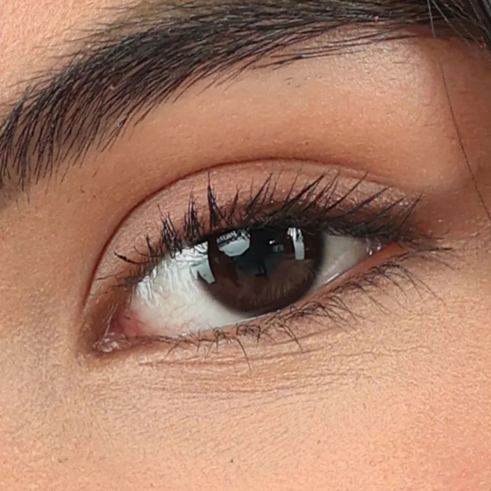 Palladio Maxx Lash Lengthening Mascara Infused With Bamboo & Vitamin E 13ml - Image 2