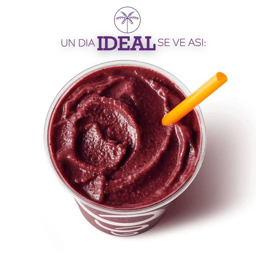 Palmazonia Pure Acai 500gr - Image 5
