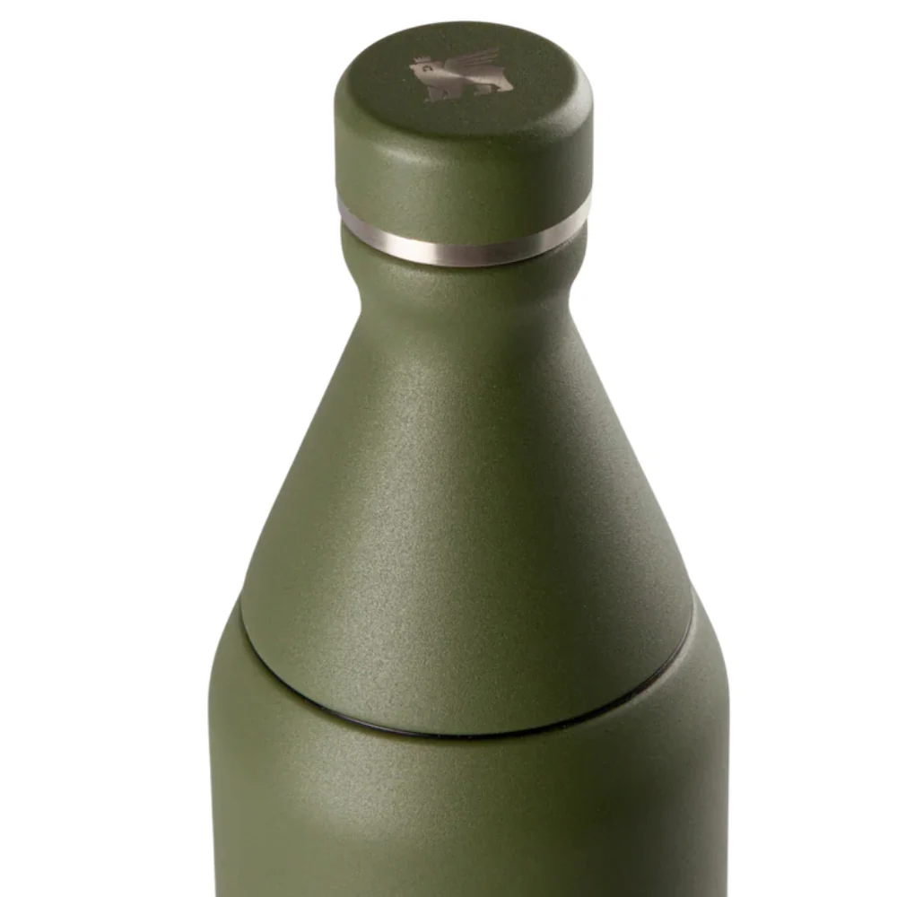 Stanley Termo All Day Slim Bottle Color Dried Pine VRT 20oz - Image 3