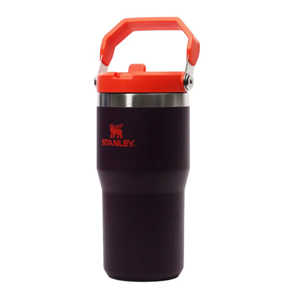 Stanley Termo Classic Flip Straw Tumbler Color Plum 20oz - Image 2